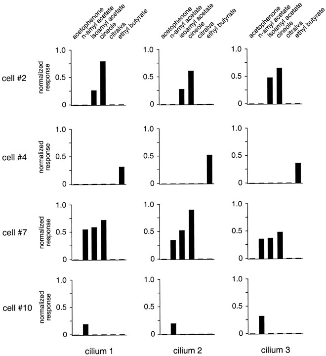 Fig. 7.