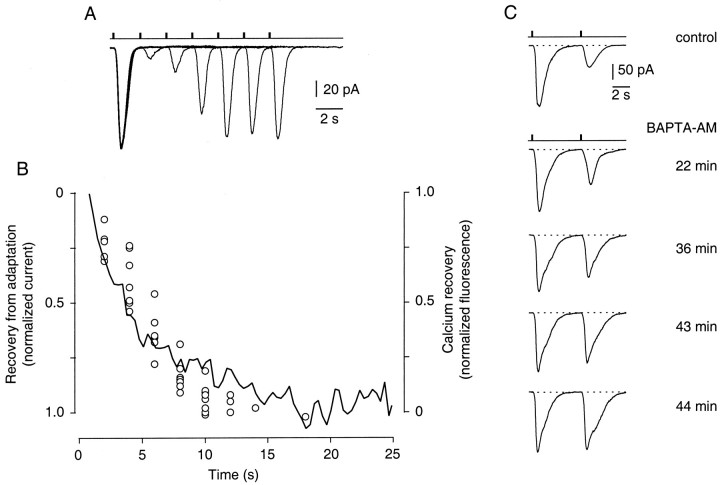 Fig. 8.