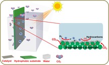 graphic file with name CSSC-13-1730-g006.jpg