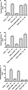 FIG. 2.