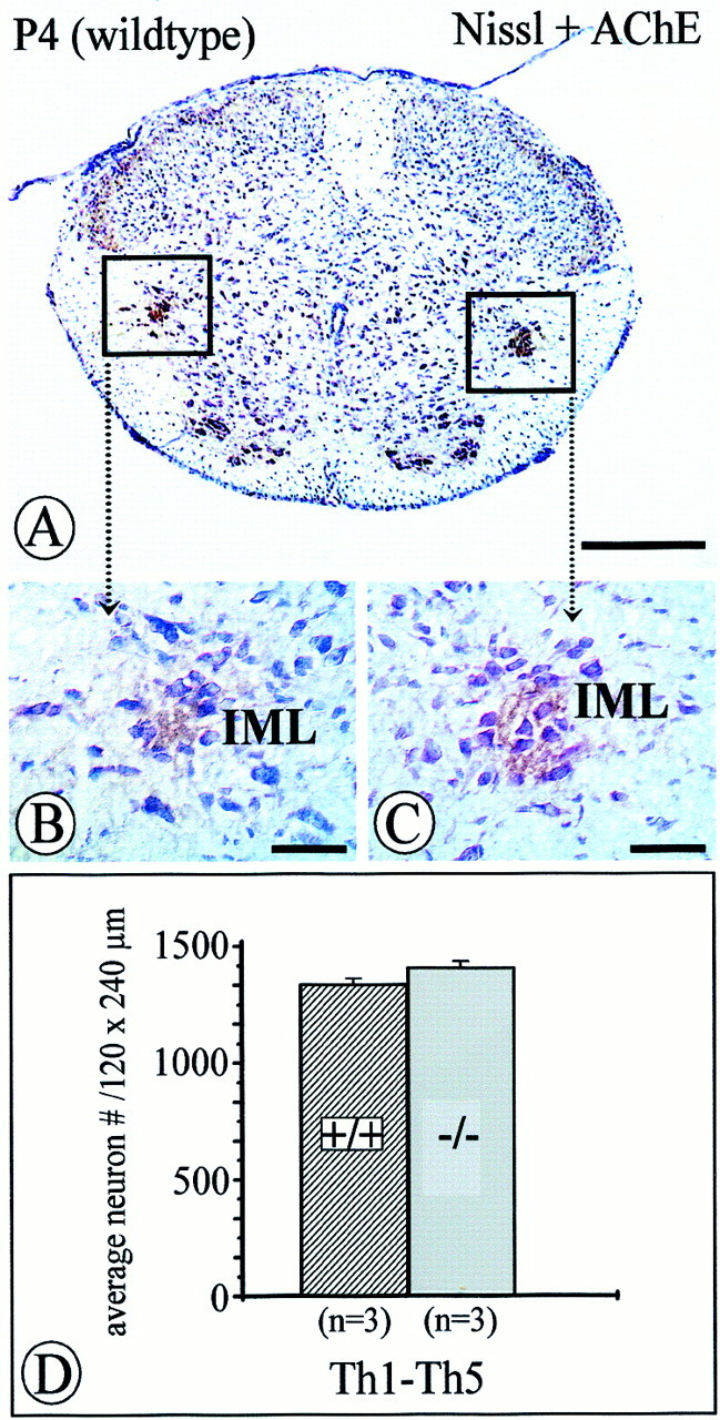 Fig. 10.