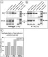 Fig. 11.