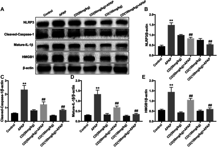 FIGURE 3