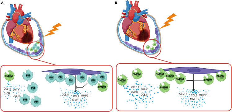 Figure 6