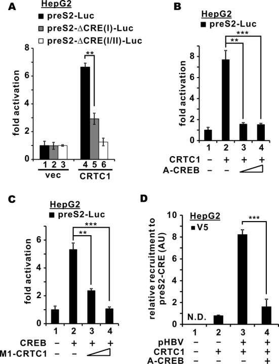 Figure 5.