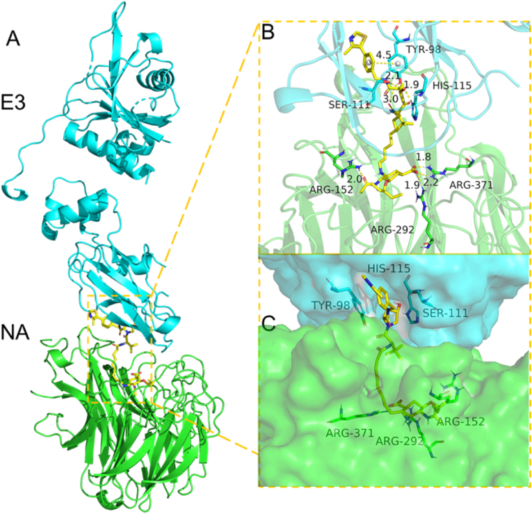 Fig. 7