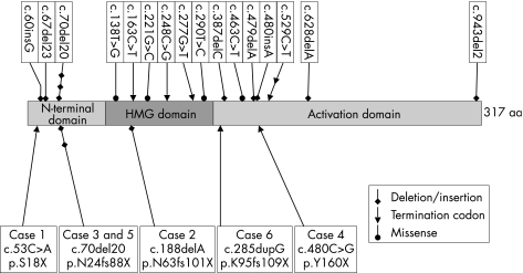 graphic file with name bj117929.f2.jpg