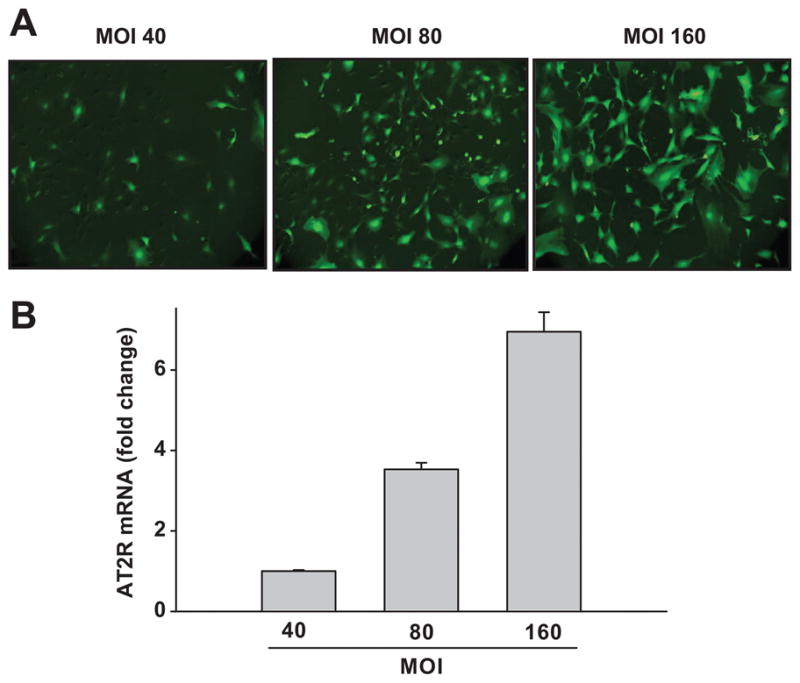 Fig. 2