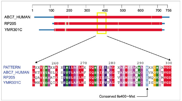 Figure 10