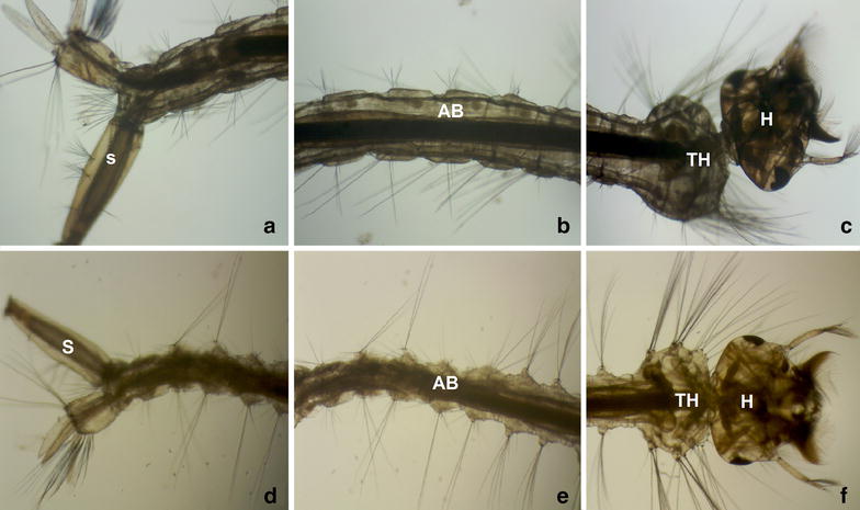 Fig. 3