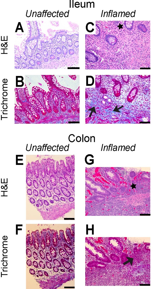 Fig 5