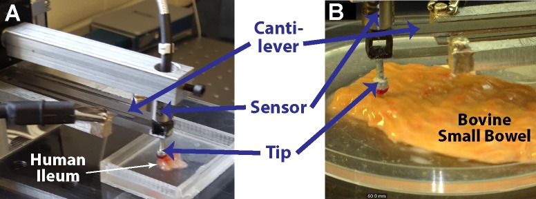 Fig 2