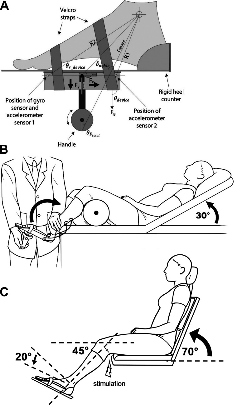 Fig. 1.