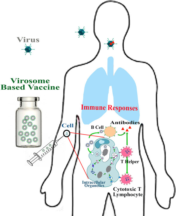 Unlabelled Image