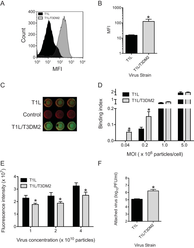 FIG 2