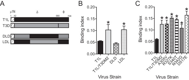 FIG 3