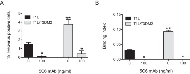 FIG 5