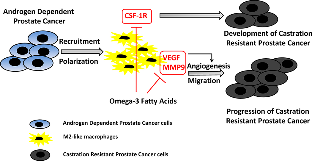 Figure 6: