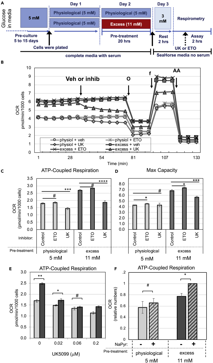 Figure 4