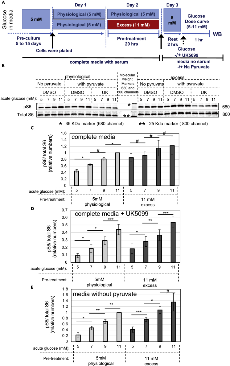 Figure 5