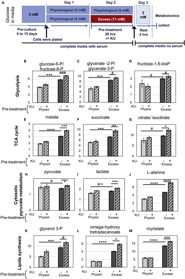 Figure 6