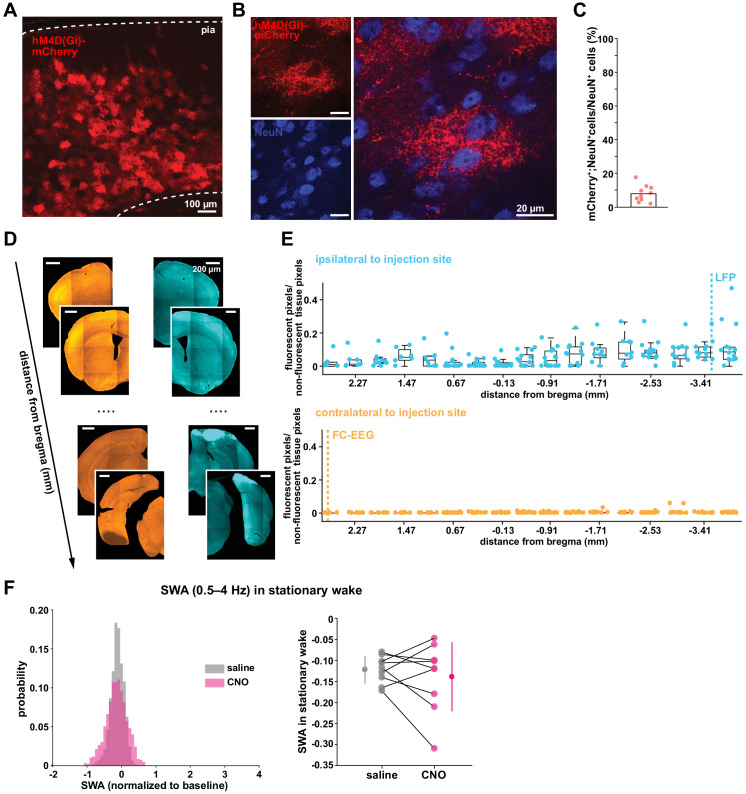 Figure 3—figure supplement 1.