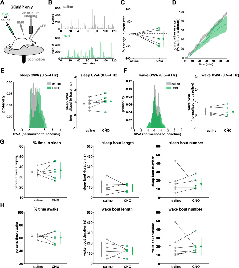 Figure 3—figure supplement 2.