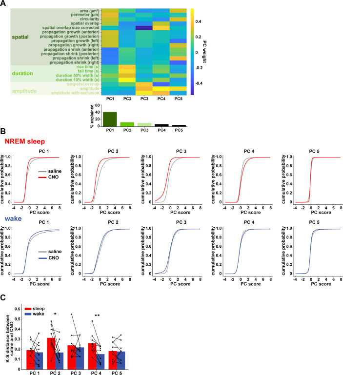 Figure 3—figure supplement 3.