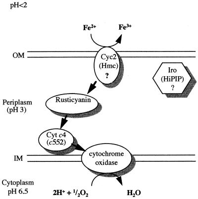 FIG. 4