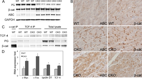 FIG. 8.