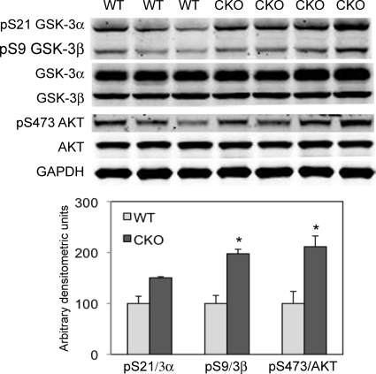 FIG. 9.