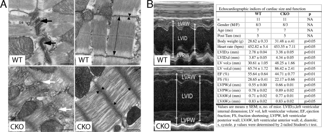 FIG. 7.