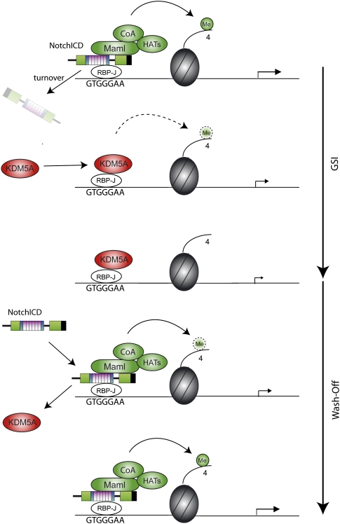 Figure 6.