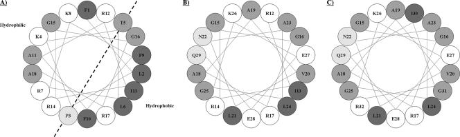 FIG. 3.