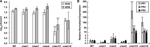 Figure 2.