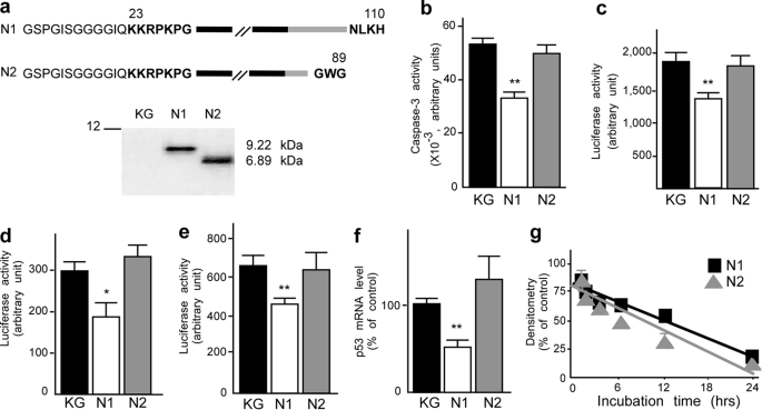 FIGURE 4.