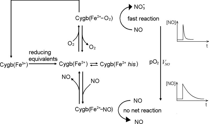 Fig. 7