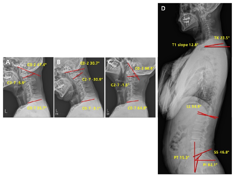 Figure 10