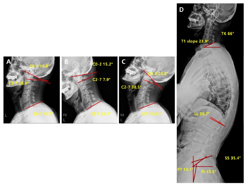 Figure 7