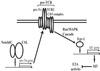 Fig 5.
