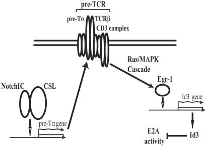 Fig 5.