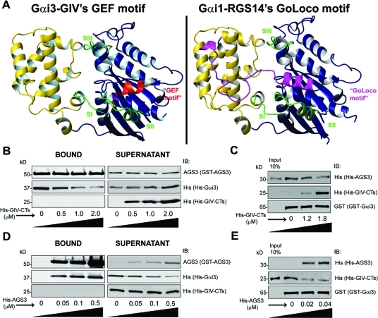 FIGURE 3: