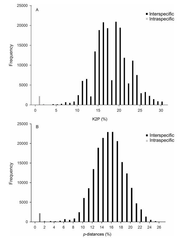 Histograms show division of intraspecific (grey) and interspecific (black) <italic>COI</italic> sequence variation based on Kimira two-parameter (K2P, A) and uncorrected <italic>p</italic>-distance (B).