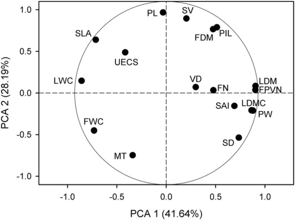 Fig. 2