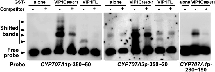 Figure 5.