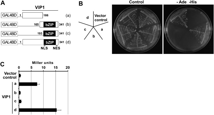 Figure 3.