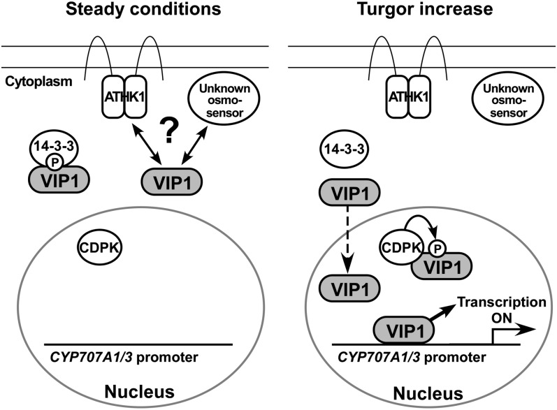 Figure 10.