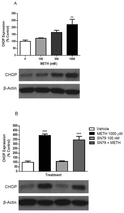 Fig. 11