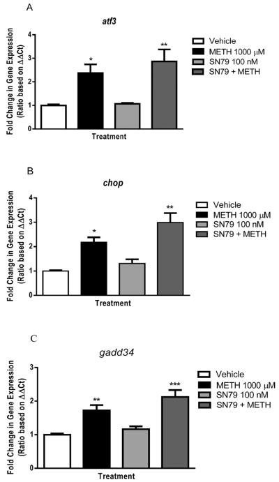 Fig. 10