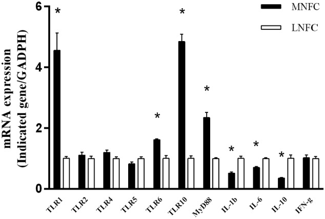 FIGURE 4